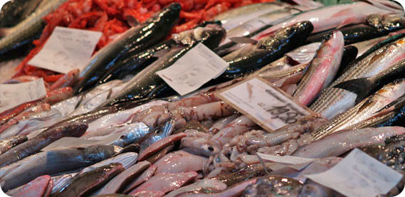 Il Pesce delle Cinque Terre