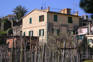 Bed and Breakfast Il Girasole, Corniglia, Corniglia