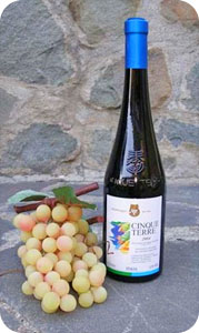 Vino Cinque Terre DOC