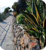 La Via dell'amore a Riomaggiore